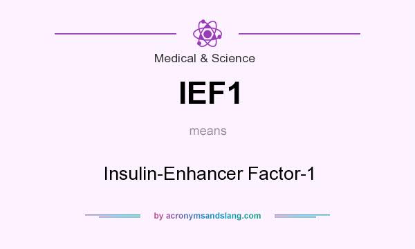 What does IEF1 mean? It stands for Insulin-Enhancer Factor-1