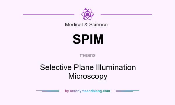 What does SPIM mean? It stands for Selective Plane Illumination Microscopy