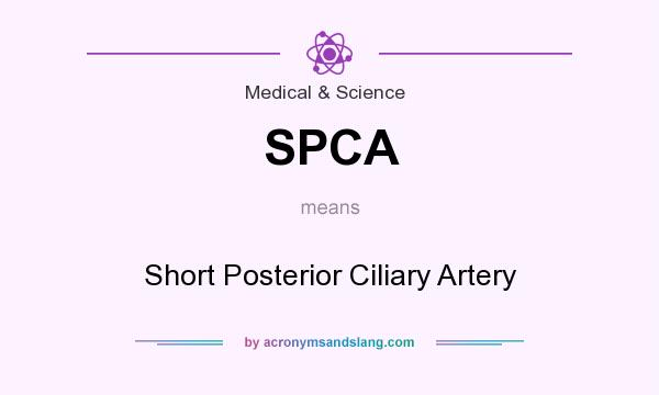 What does SPCA mean? It stands for Short Posterior Ciliary Artery