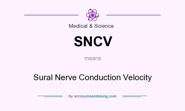 What does SNCV mean? It stands for Sural Nerve Conduction Velocity