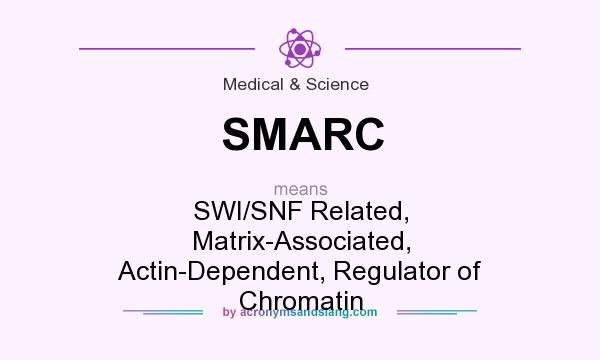 What does SMARC mean? It stands for SWI/SNF Related, Matrix-Associated, Actin-Dependent, Regulator of Chromatin