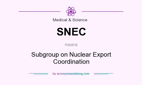 What does SNEC mean? It stands for Subgroup on Nuclear Export Coordination