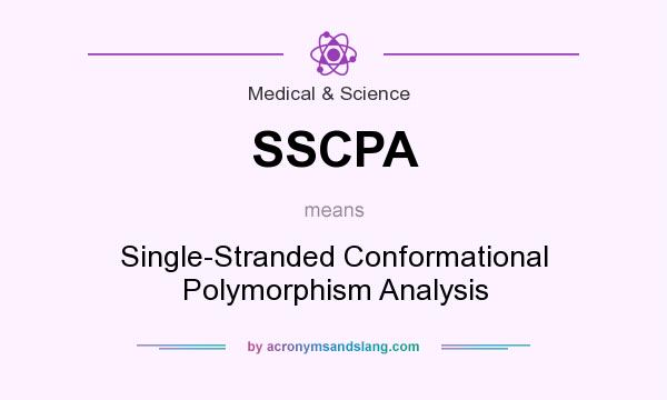 What does SSCPA mean? It stands for Single-Stranded Conformational Polymorphism Analysis