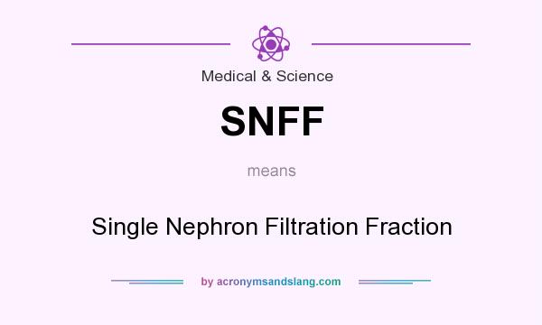 What does SNFF mean? It stands for Single Nephron Filtration Fraction