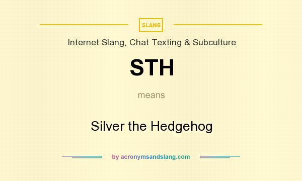What does STH mean? It stands for Silver the Hedgehog