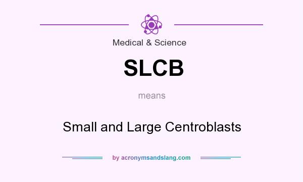 What does SLCB mean? It stands for Small and Large Centroblasts