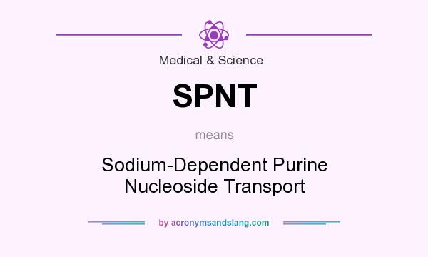 What does SPNT mean? It stands for Sodium-Dependent Purine Nucleoside Transport