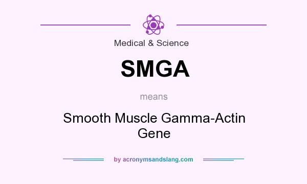 What does SMGA mean? It stands for Smooth Muscle Gamma-Actin Gene