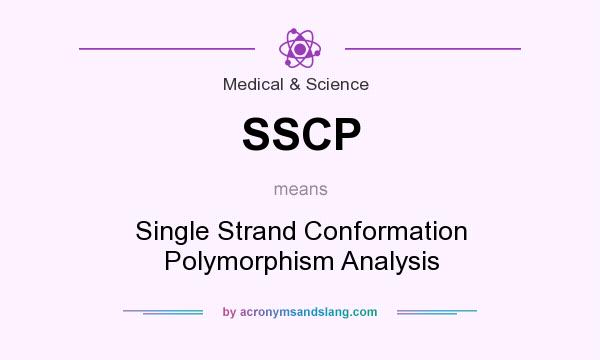 What does SSCP mean? It stands for Single Strand Conformation Polymorphism Analysis