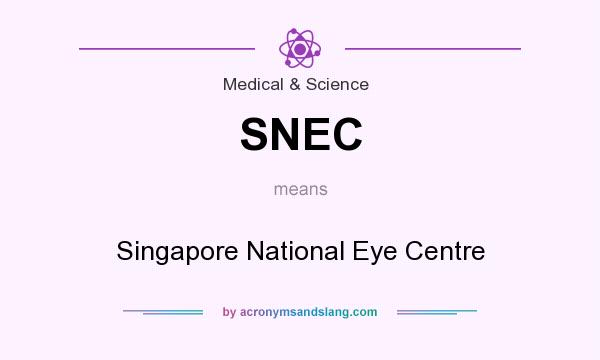 What does SNEC mean? It stands for Singapore National Eye Centre
