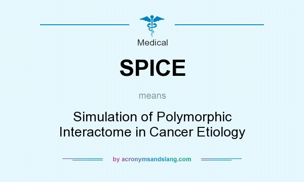 What does SPICE mean? It stands for Simulation of Polymorphic Interactome in Cancer Etiology