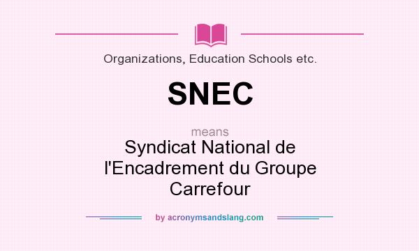 What does SNEC mean? It stands for Syndicat National de l`Encadrement du Groupe Carrefour