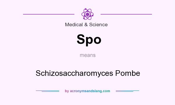 What does Spo mean? It stands for Schizosaccharomyces Pombe