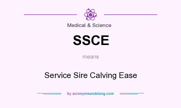 What does SSCE mean? It stands for Service Sire Calving Ease