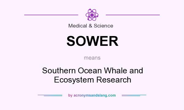 What does SOWER mean? It stands for Southern Ocean Whale and Ecosystem Research