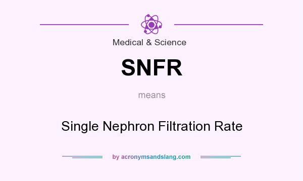 What does SNFR mean? It stands for Single Nephron Filtration Rate