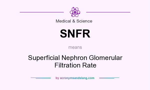 What does SNFR mean? It stands for Superficial Nephron Glomerular Filtration Rate