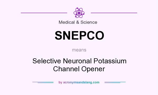 What does SNEPCO mean? It stands for Selective Neuronal Potassium Channel Opener