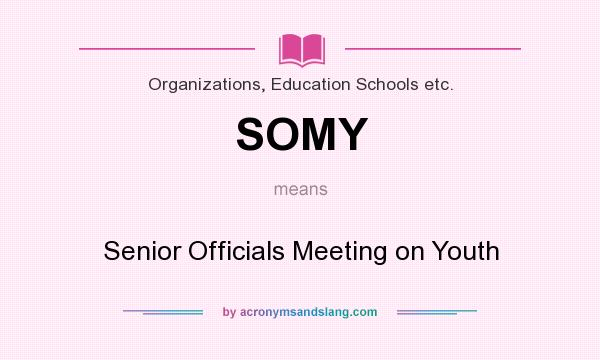 What does SOMY mean? It stands for Senior Officials Meeting on Youth