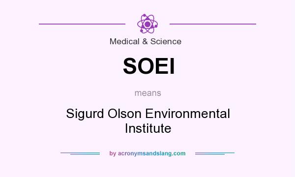 What does SOEI mean? It stands for Sigurd Olson Environmental Institute