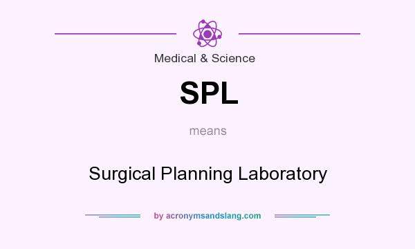 What does SPL mean? It stands for Surgical Planning Laboratory