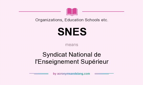 What does SNES mean? It stands for Syndicat National de l`Enseignement Supérieur