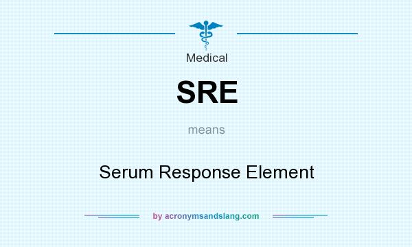 What does SRE mean? It stands for Serum Response Element