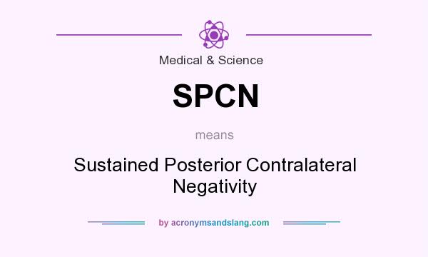 What does SPCN mean? It stands for Sustained Posterior Contralateral Negativity