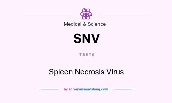 What does SNV mean? It stands for Spleen Necrosis Virus