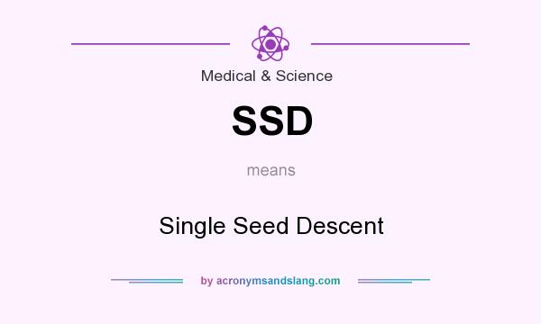 What does SSD mean? It stands for Single Seed Descent