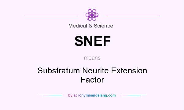 What does SNEF mean? It stands for Substratum Neurite Extension Factor