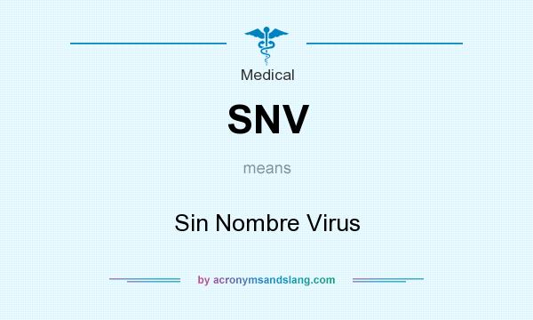 What does SNV mean? It stands for Sin Nombre Virus