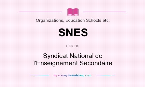 What does SNES mean? It stands for Syndicat National de l`Enseignement Secondaire