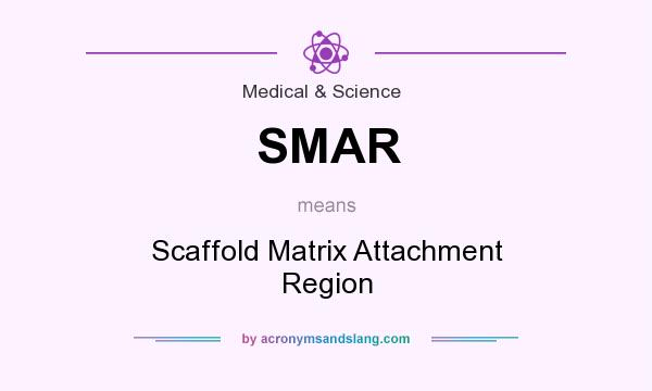 What does SMAR mean? It stands for Scaffold Matrix Attachment Region