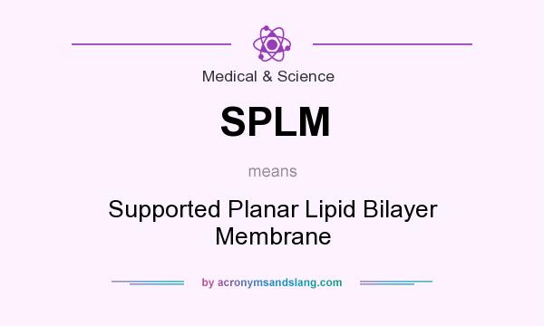 What does SPLM mean? It stands for Supported Planar Lipid Bilayer Membrane