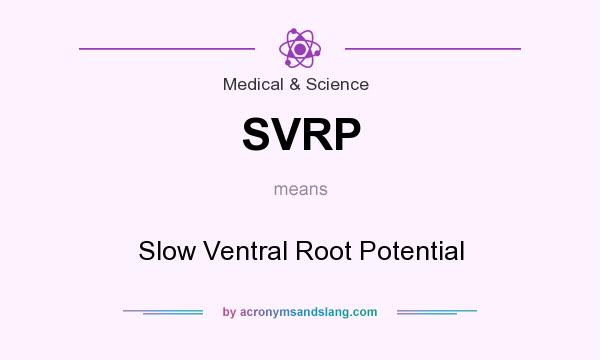What does SVRP mean? It stands for Slow Ventral Root Potential