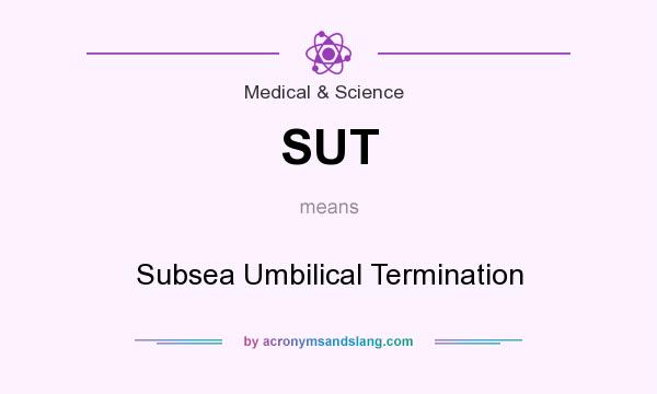 What does SUT mean? It stands for Subsea Umbilical Termination