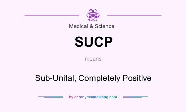 What does SUCP mean? It stands for Sub-Unital, Completely Positive