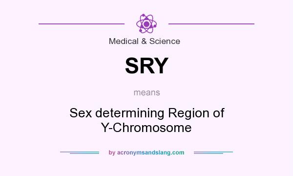 What does SRY mean? It stands for Sex determining Region of Y-Chromosome