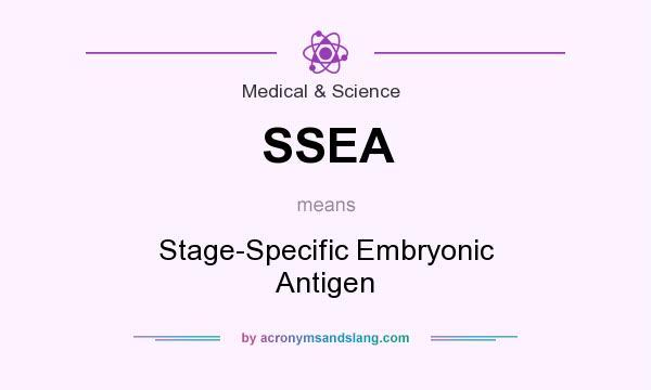What does SSEA mean? It stands for Stage-Specific Embryonic Antigen