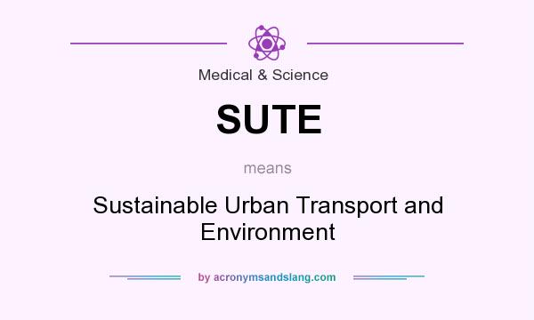 What does SUTE mean? It stands for Sustainable Urban Transport and Environment
