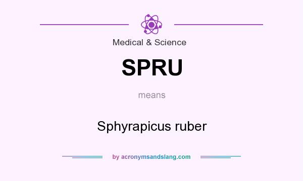 What does SPRU mean? It stands for Sphyrapicus ruber