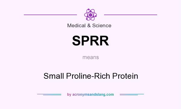 What does SPRR mean? It stands for Small Proline-Rich Protein