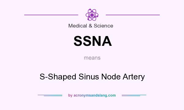 What does SSNA mean? It stands for S-Shaped Sinus Node Artery