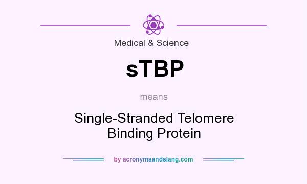 What does sTBP mean? It stands for Single-Stranded Telomere Binding Protein