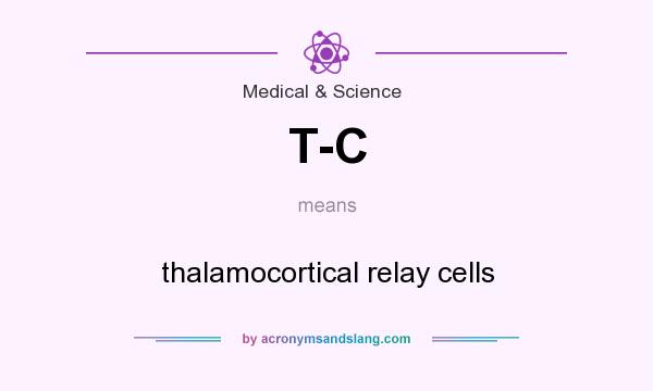 What does T-C mean? It stands for thalamocortical relay cells
