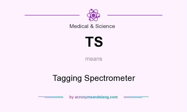 What does TS mean? It stands for Tagging Spectrometer
