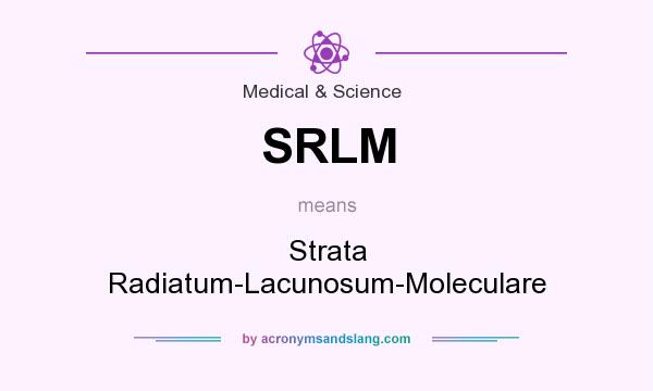 What does SRLM mean? It stands for Strata Radiatum-Lacunosum-Moleculare