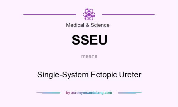 What does SSEU mean? It stands for Single-System Ectopic Ureter