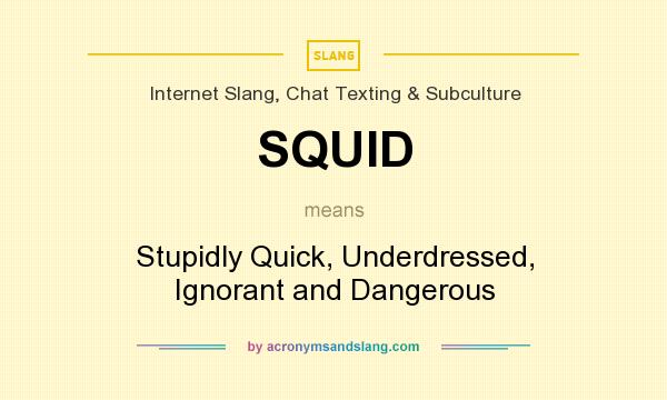 What does SQUID mean? It stands for Stupidly Quick, Underdressed, Ignorant and Dangerous
